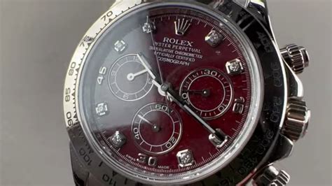 rolex daytona red dial price|what is rolex daytona krg.